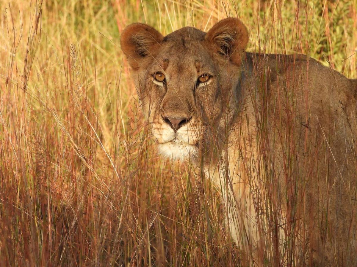 Kwalata Game Lodge Klipdrift Экстерьер фото