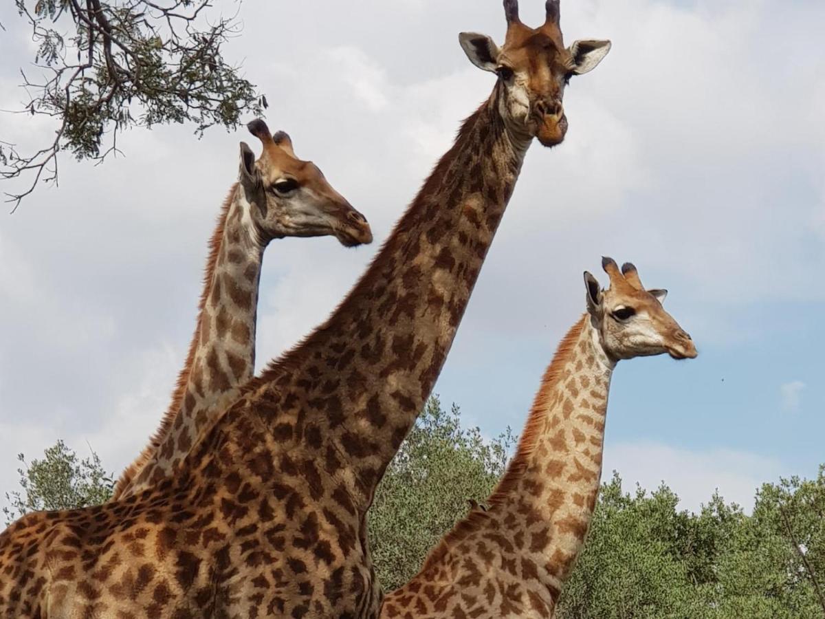 Kwalata Game Lodge Klipdrift Экстерьер фото